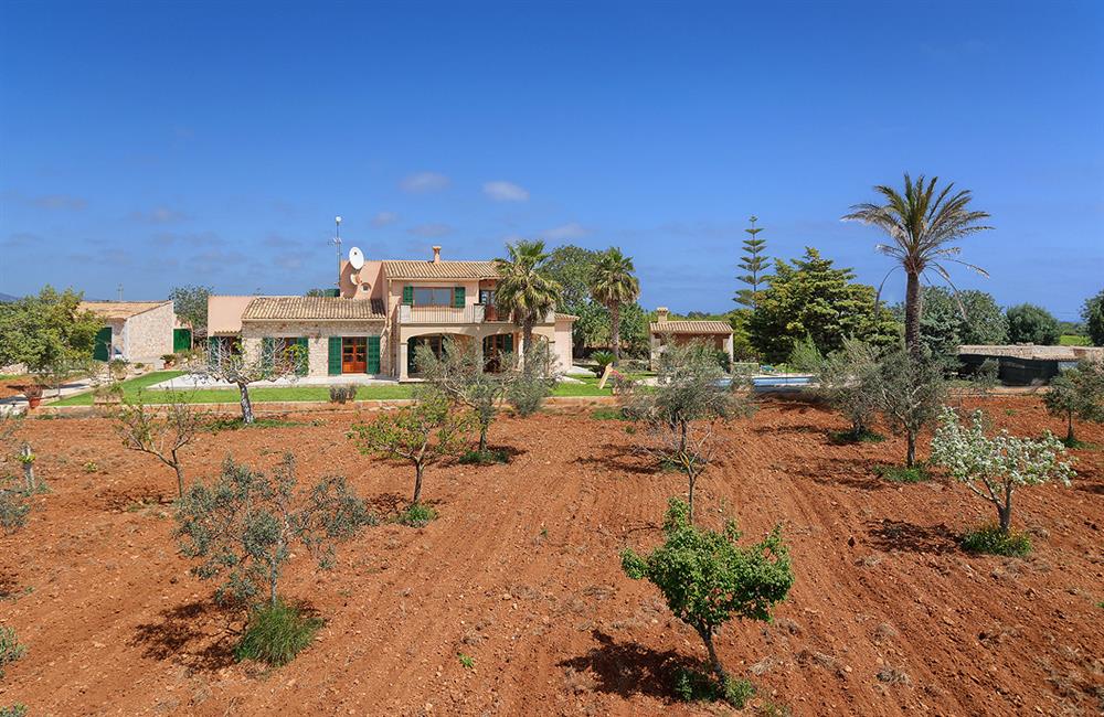 Villa Deu Quarterades (photo 12) at Villa Deu Quarterades in Cala d'Or, Majorca
