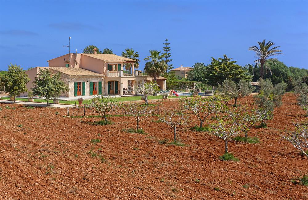 Villa Deu Quarterades (photo 13) at Villa Deu Quarterades in Cala d'Or, Majorca