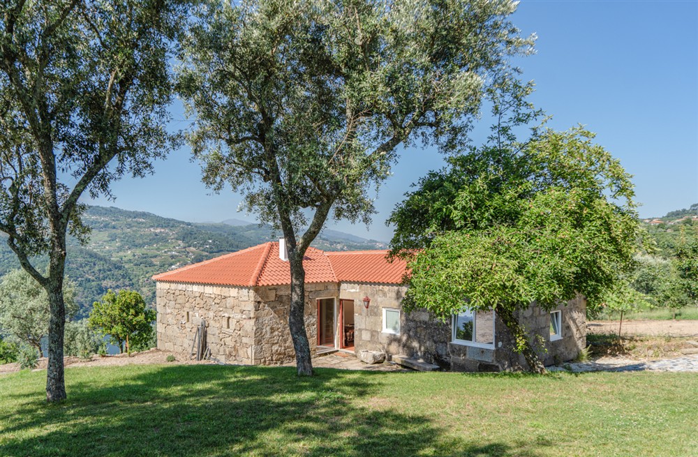 Villa Douro Verde