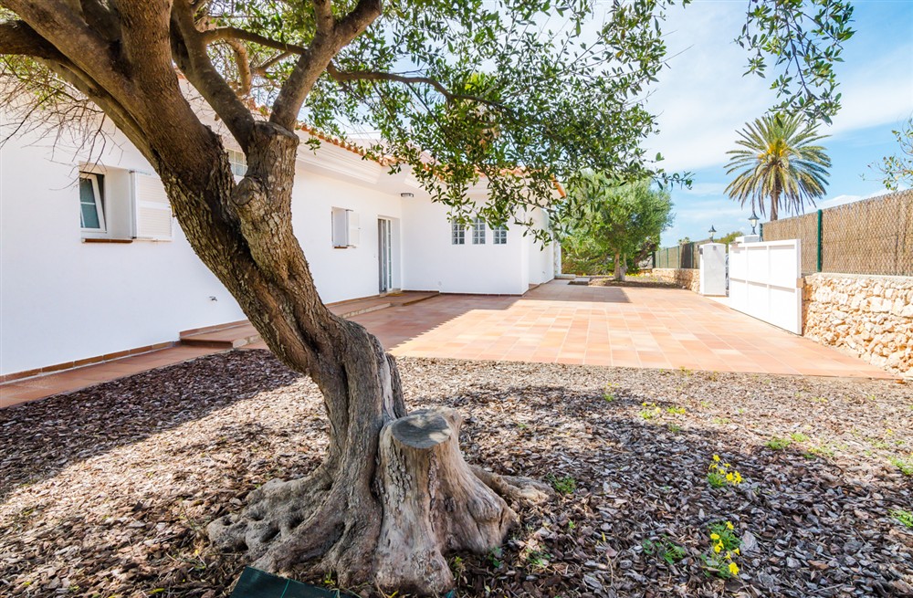 Villa Gaviota (photo 24) at Villa Gaviota in , Spain