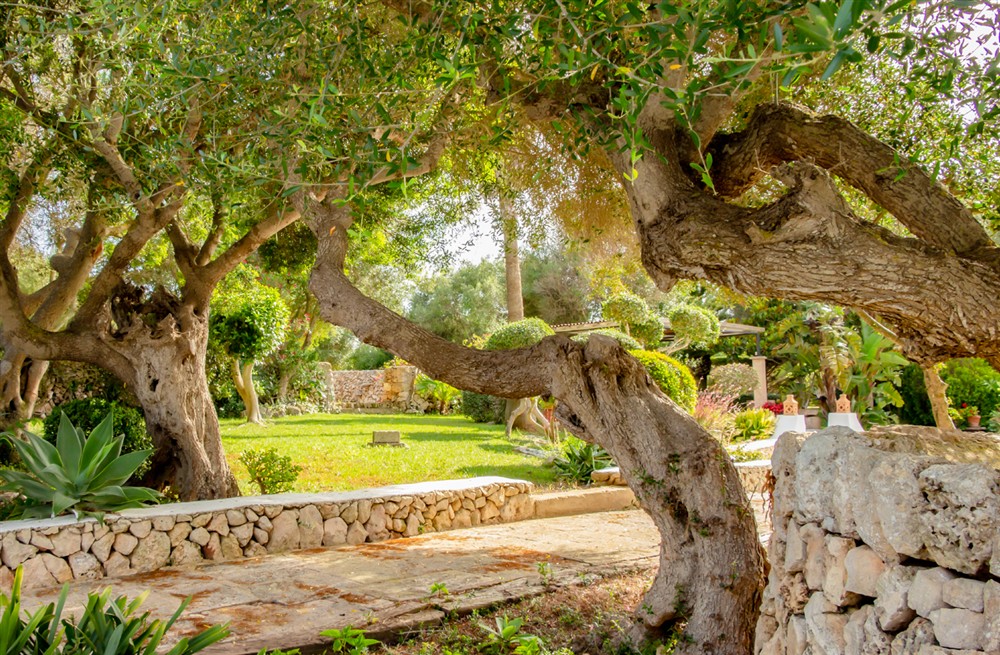 Villa Jardi Secret (photo 72) at Villa Jardi Secret in , Spain