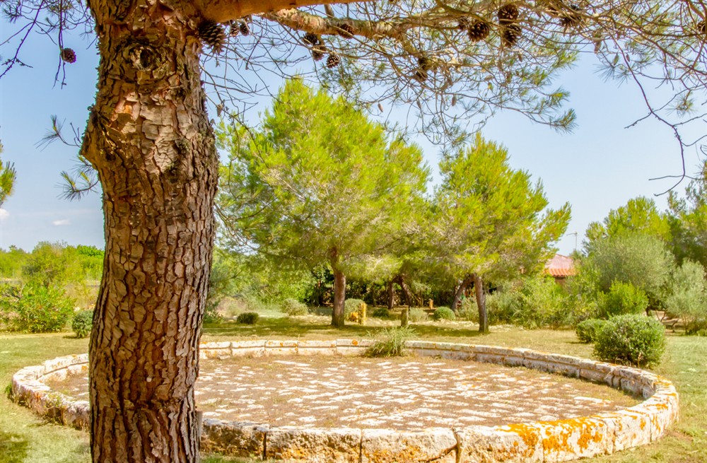 Villa Jardi Secret (photo 73) at Villa Jardi Secret in , Spain
