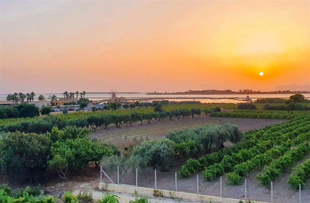 Villa La Vela