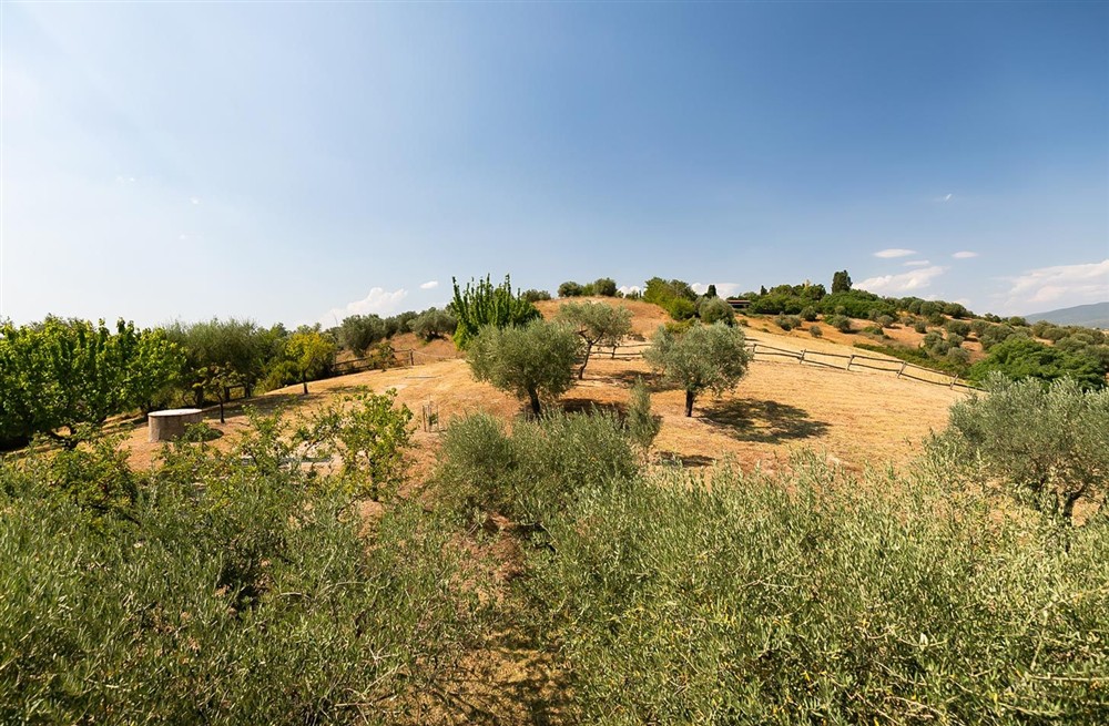 Villa Le Sabine