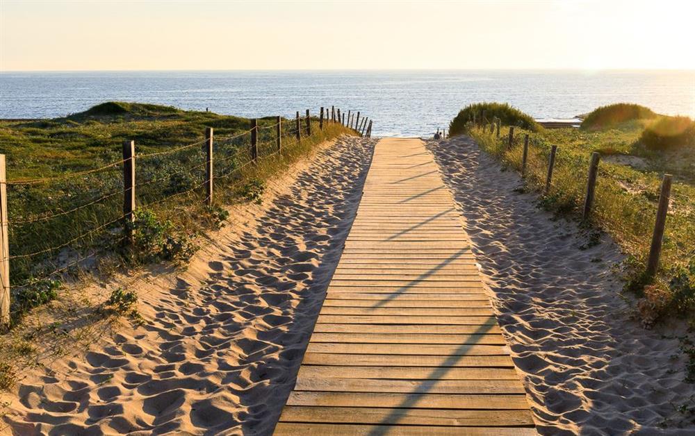 Photo of Villa les Dunes (photo 22) at Villa les Dunes, Aquitaine Coast, France