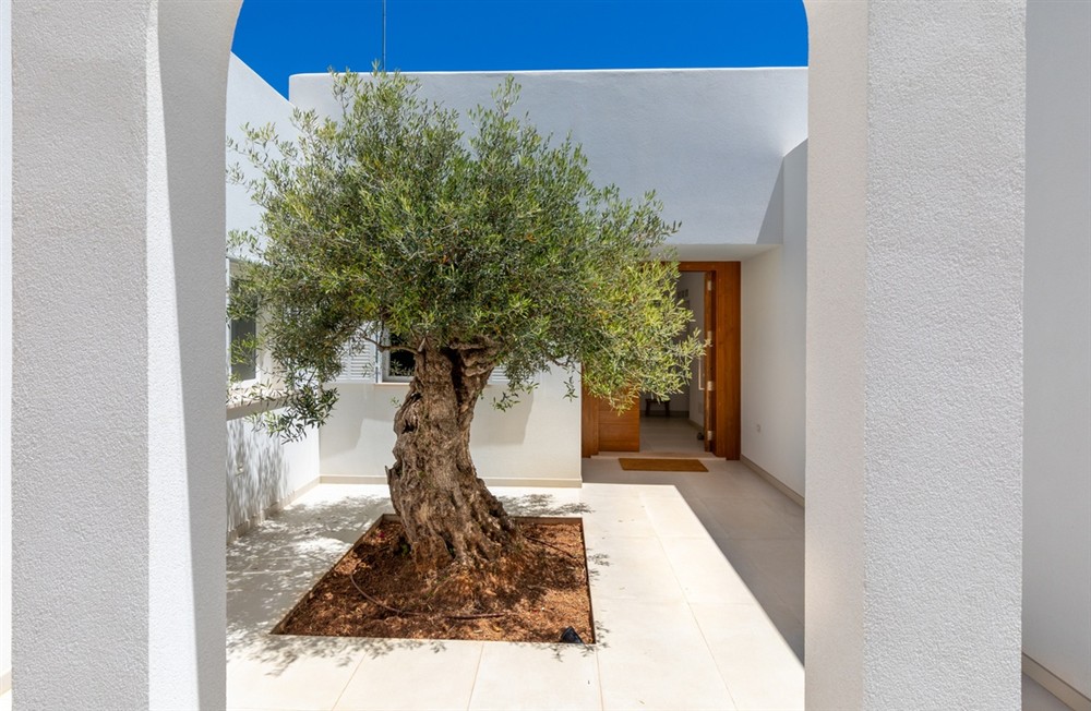 Villa Magdala (photo 38) at Villa Magdala in Cala d'Or, Mallorca