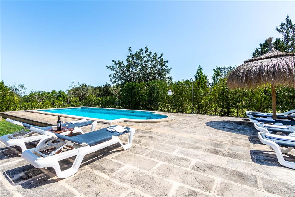 Pool, sunloungers at Villa Marina Alto, Pollensa, Mallorca