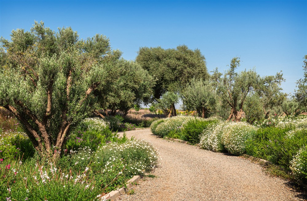 Villa Mechouar (photo 15) at Villa Mechouar in Marrakesh, Morocco