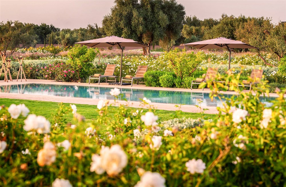 Villa Mechouar (photo 8) at Villa Mechouar in Marrakesh, Morocco