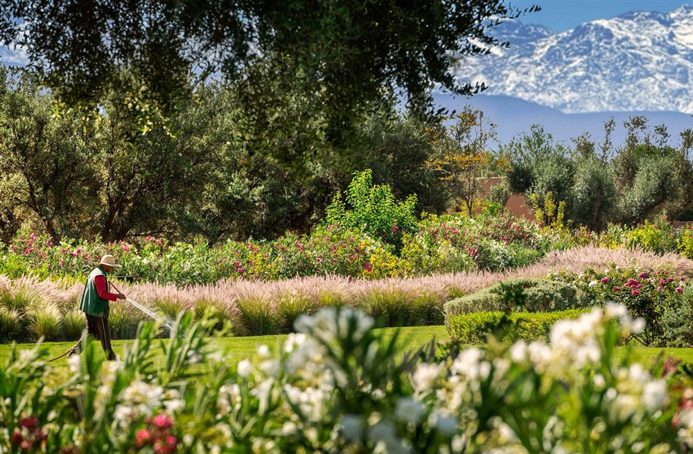 Villa Mechouar (photo 9) at Villa Mechouar in Marrakesh, Morocco