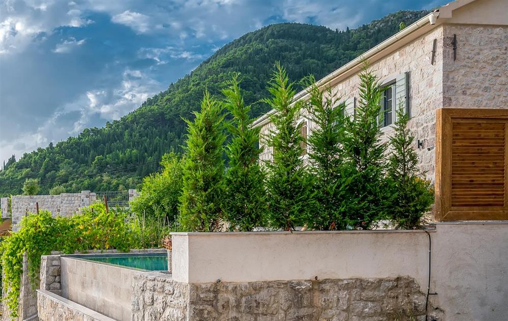 Villa Milonja (photo 25) at Villa Milonja in Bay of Kotor, Montenegro