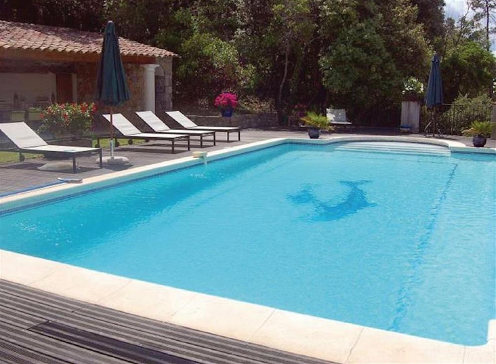Swimming pool at Villa Montauroux in Montauroux, Var, France
