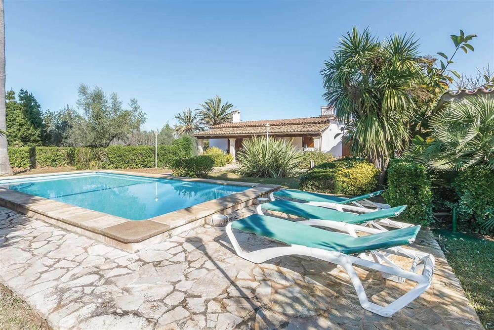 Villa with pool (photo 2) at Villa Moreno, Pollensa, Mallorca