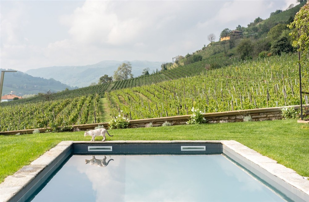Villa Moscato