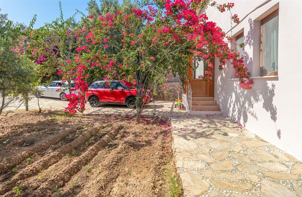 Villa Nane