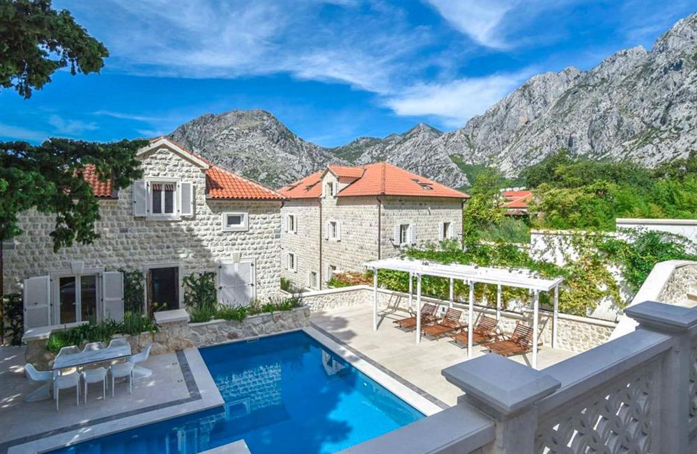 Villa Olivera (photo 43) at Villa Olivera in Bay of Kotor, Montenegro