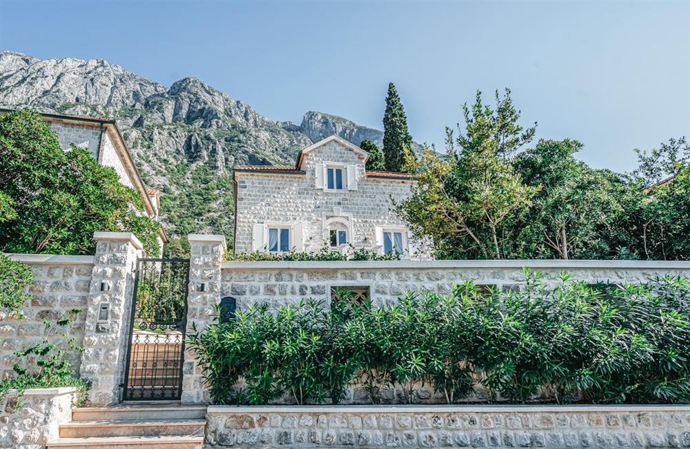 Villa Olivera (photo 44) at Villa Olivera in Bay of Kotor, Montenegro