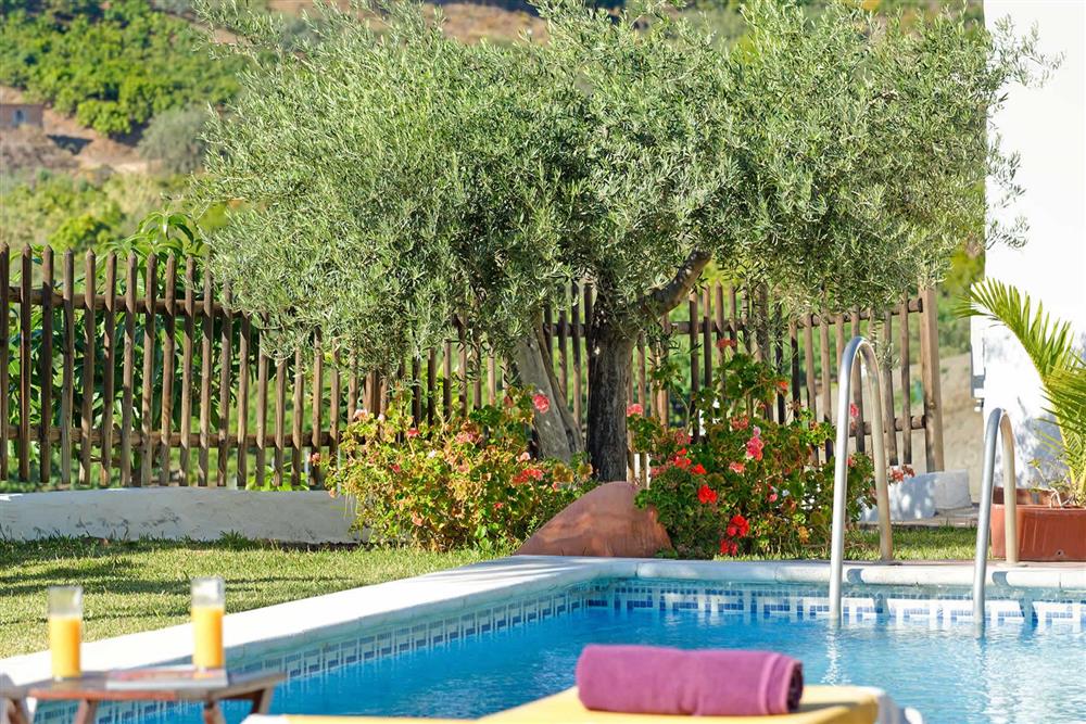 Pool (photo 2) at Villa Paraiso, Frigiliana, Andalucia