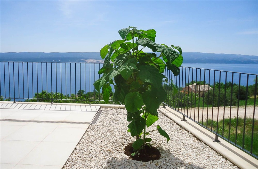 Villa Plavetna (photo 10) at Villa Plavetna in Lokva Rogoznica, Croatia