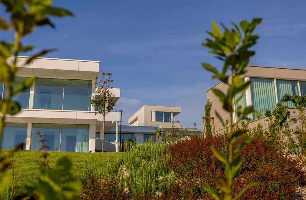 Villa Rosia