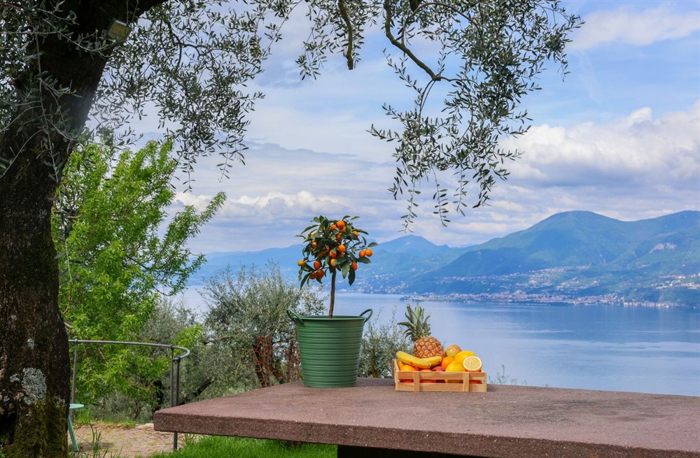 Villa Scaligeri
