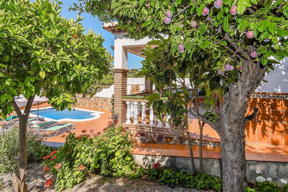 Pool at Villa Serymar, Nerja, Andalucia