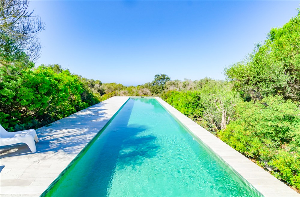 Villa Teatree (photo 2) at Villa Teatree in , Spain
