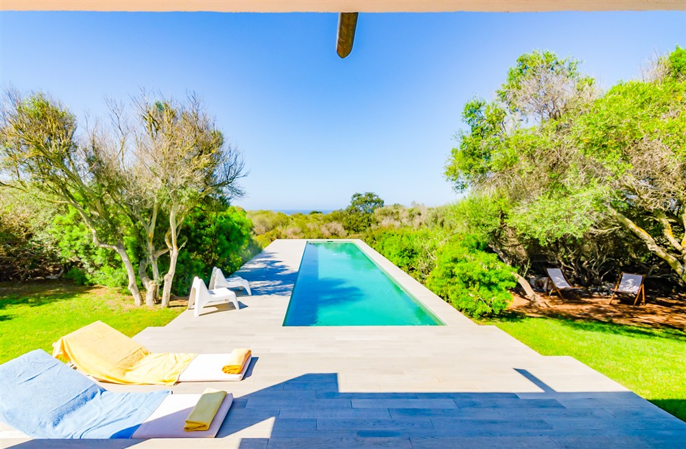 Villa Teatree (photo 3) at Villa Teatree in , Spain