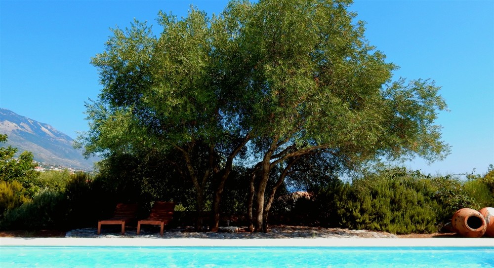 Villa Telina (photo 16) at Villa Telina in Trapezaki, Kefalonia