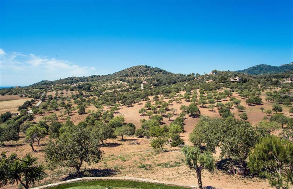 Villa Turo Golf (photo 13) at Villa Turo Golf in Cala d'Or, Majorca