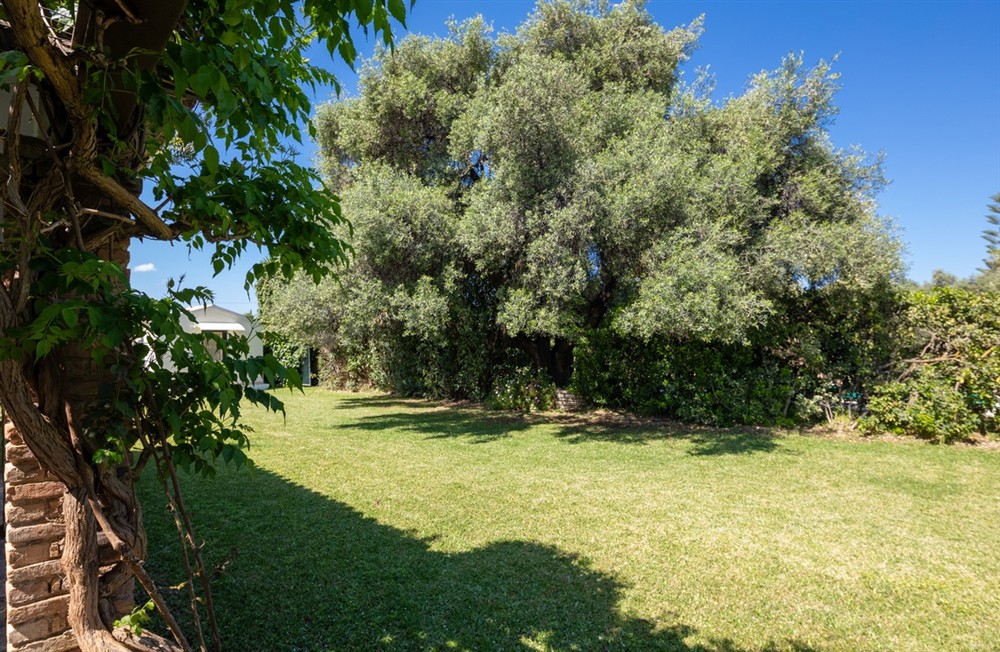 Villa Venus (photo 24) at Villa Venus in Acharavi, Corfu