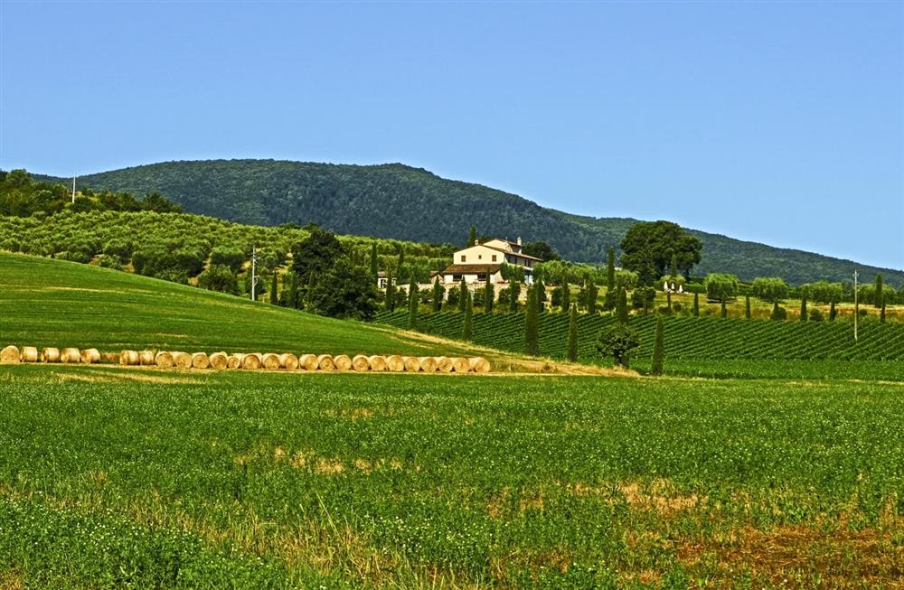 Villa Zelia