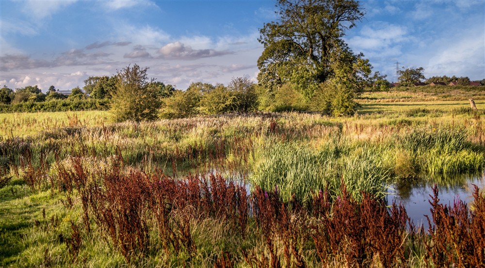 The area surrounding Village Farmhouse, Cheshire at Village Farmhouse in Altrincham, Cheshire