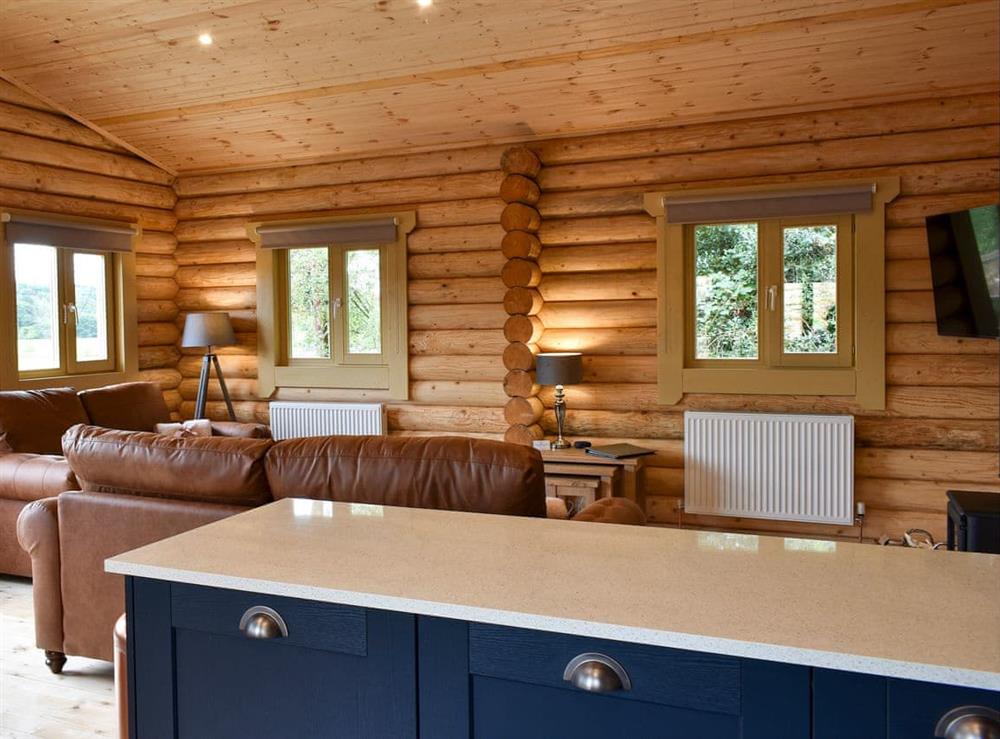 Open plan living space (photo 2) at Vindomora Lodge, 