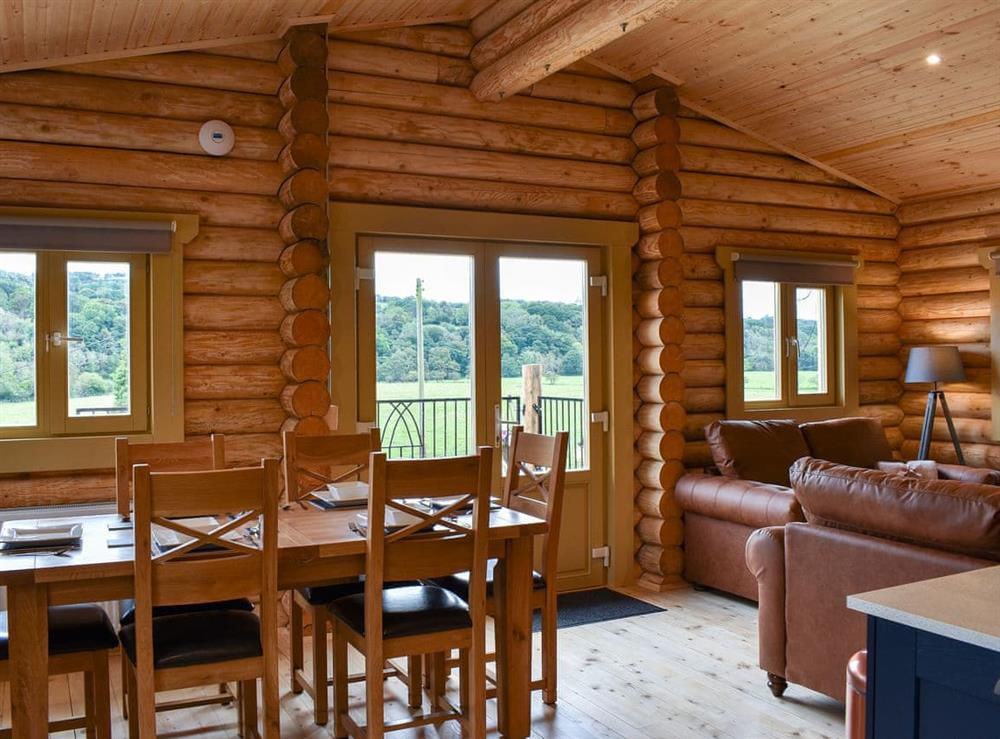 Open plan living space at Vindomora Lodge, 