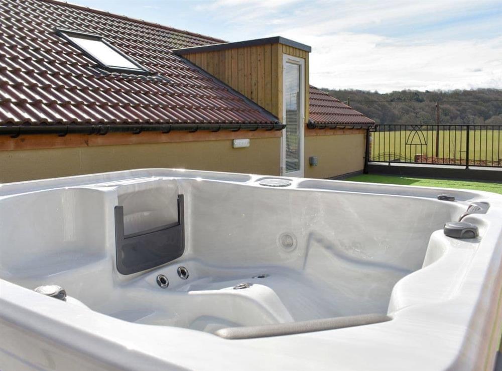 Hot tub on the roof terrace at Vinovia Apartment, 