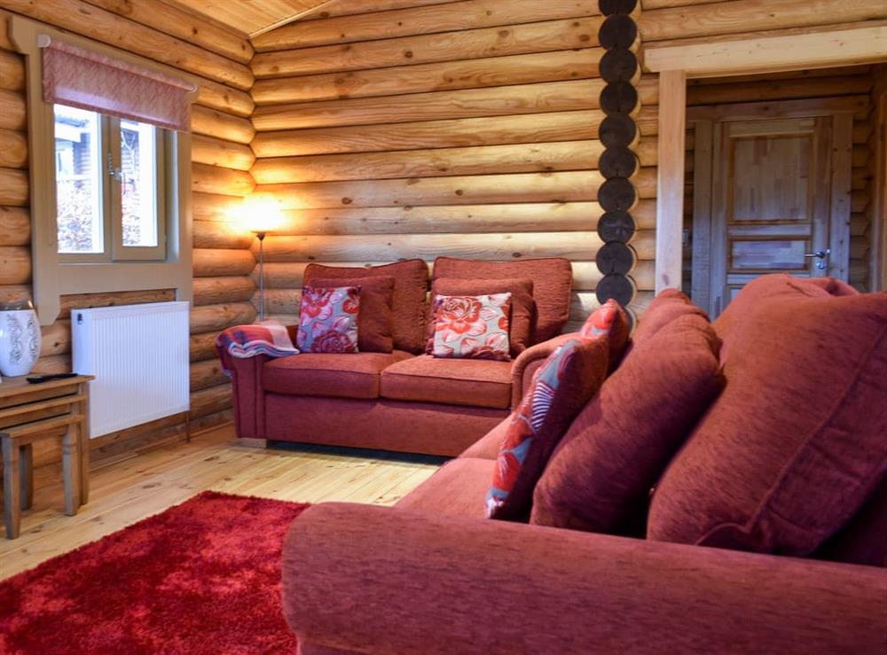 Comfortable living area (photo 2) at Hadrian Lodge, 