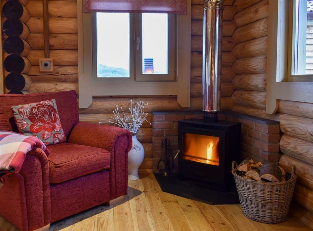 Comfortable living area (photo 3) at Hadrian Lodge, 