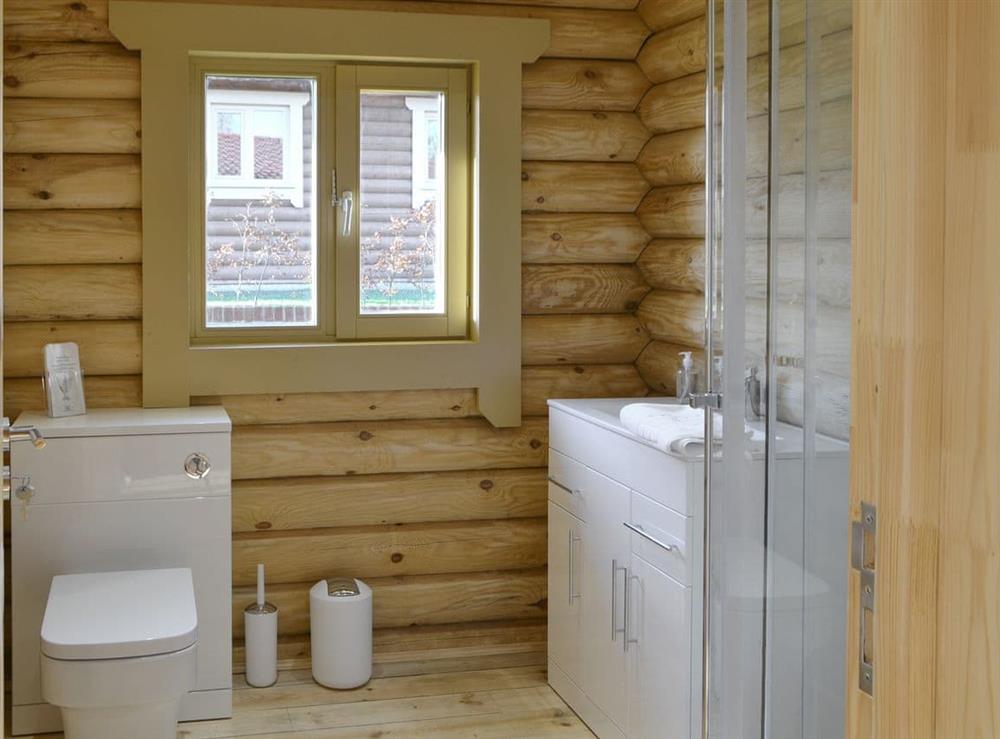 Spacious shower room at Hadrian Lodge, 