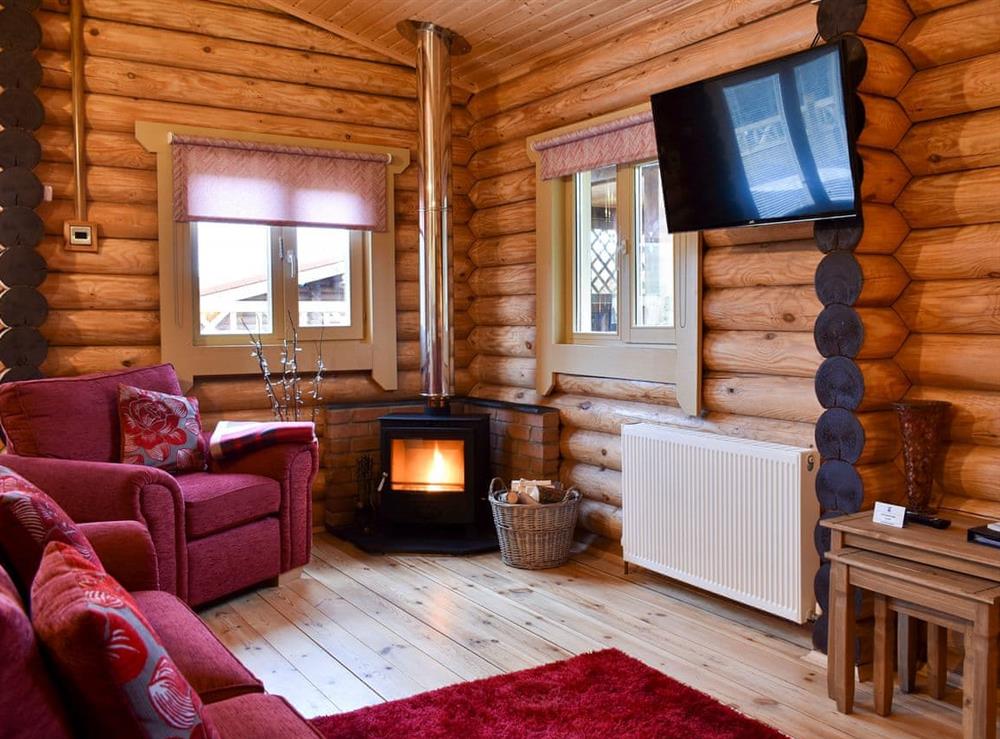 Cosy living area with wood burner at St Ebba Lodge, 