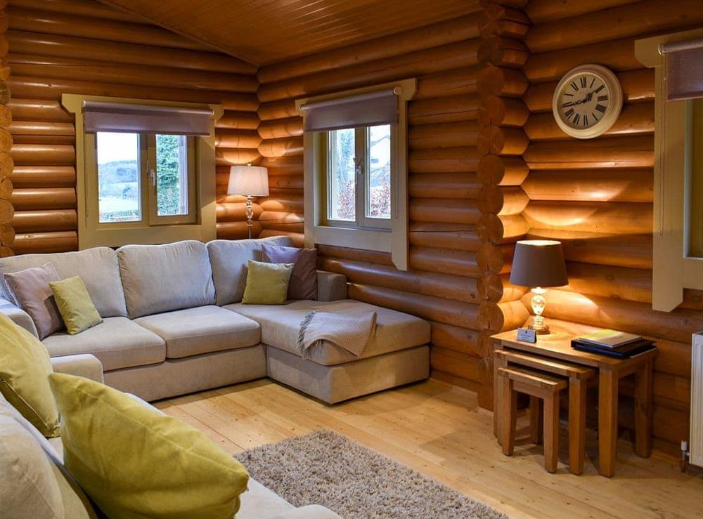 Cosy living area with wood burner at Vindolanda Lodge, 