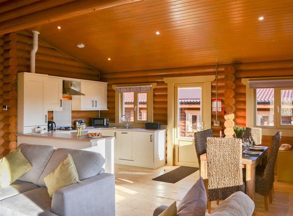 Wonderfully spacious living space at Vindolanda Lodge, 