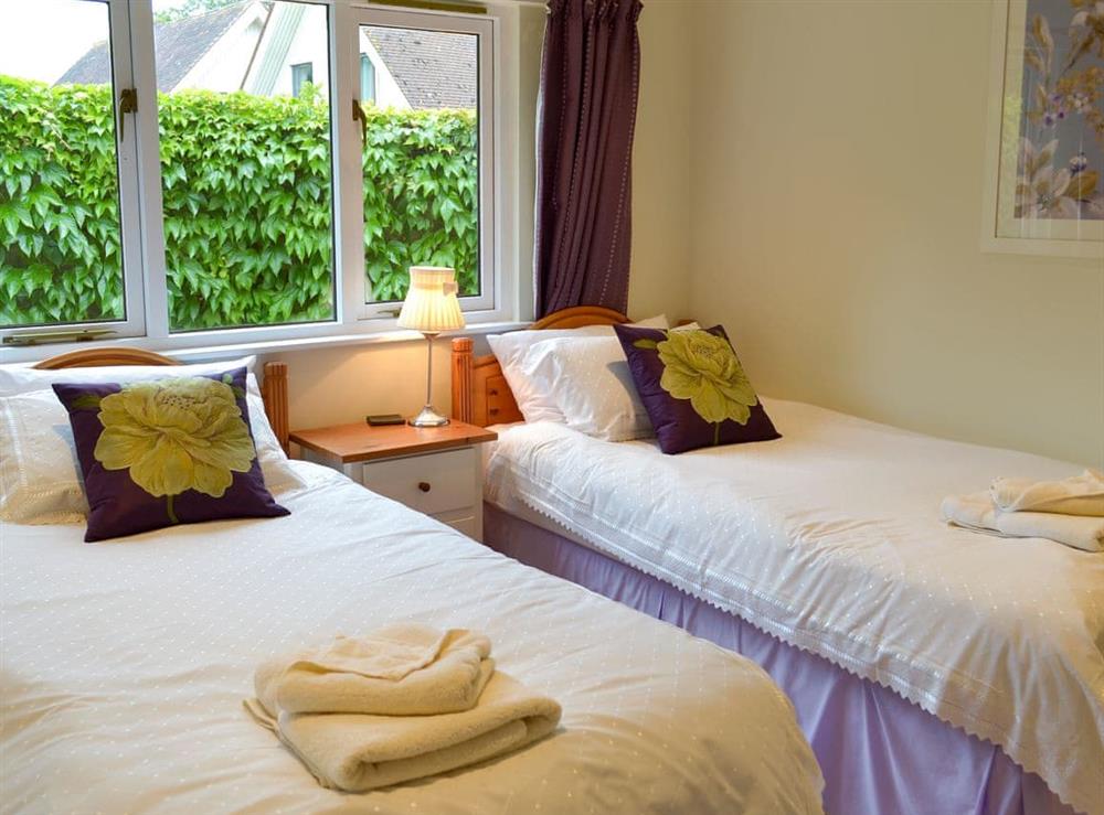 Light and airy twin bedroom at Vine Lodge in Bovey Tracey., Devon