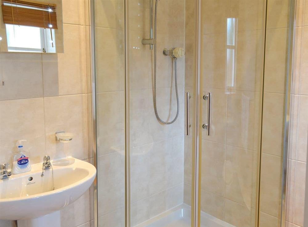 Shower room with walk-in shower cubicle at Vine Lodge in Bovey Tracey., Devon