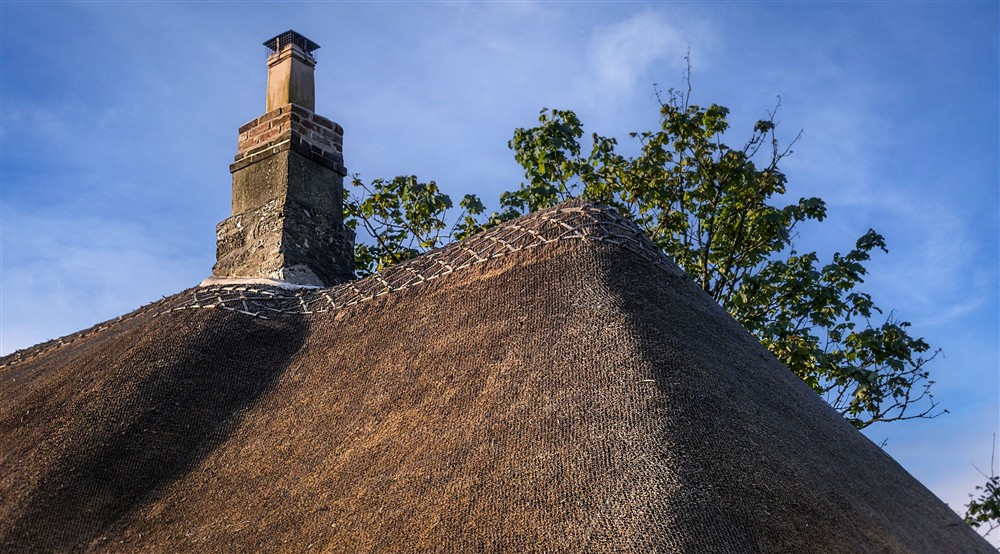 A close-up photo of the thatched roof at Vineyard Farm Cottage in Wareham, Dorset
