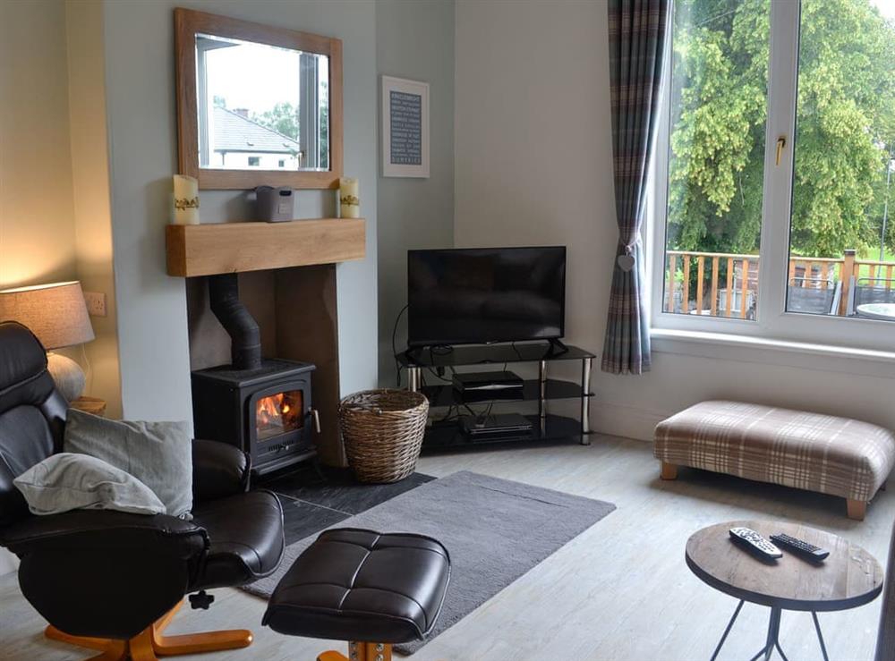 Living room with wood burner at Violet Grove in Castle Douglas, Kirkcudbrightshire