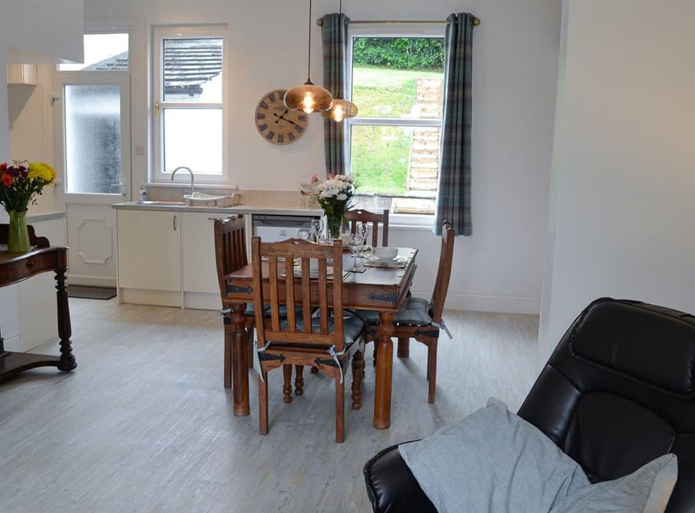 Open plan living space at Violet Grove in Castle Douglas, Kirkcudbrightshire