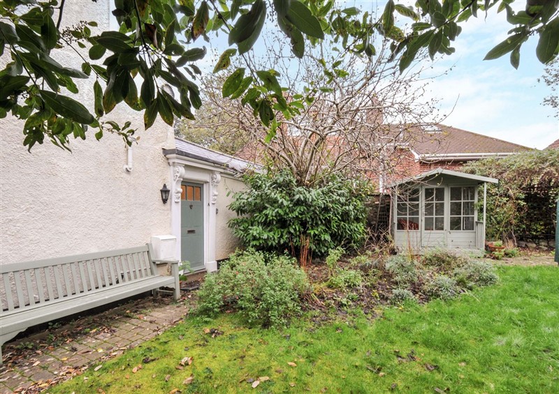 The garden in Violet's Rest at Violets Rest, Exeter