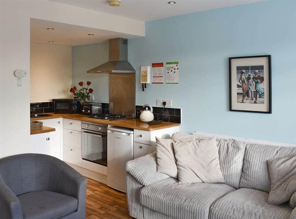 Convenient open-plan living space at Virginia Lodge in Watchet, near Minehead, Somerset