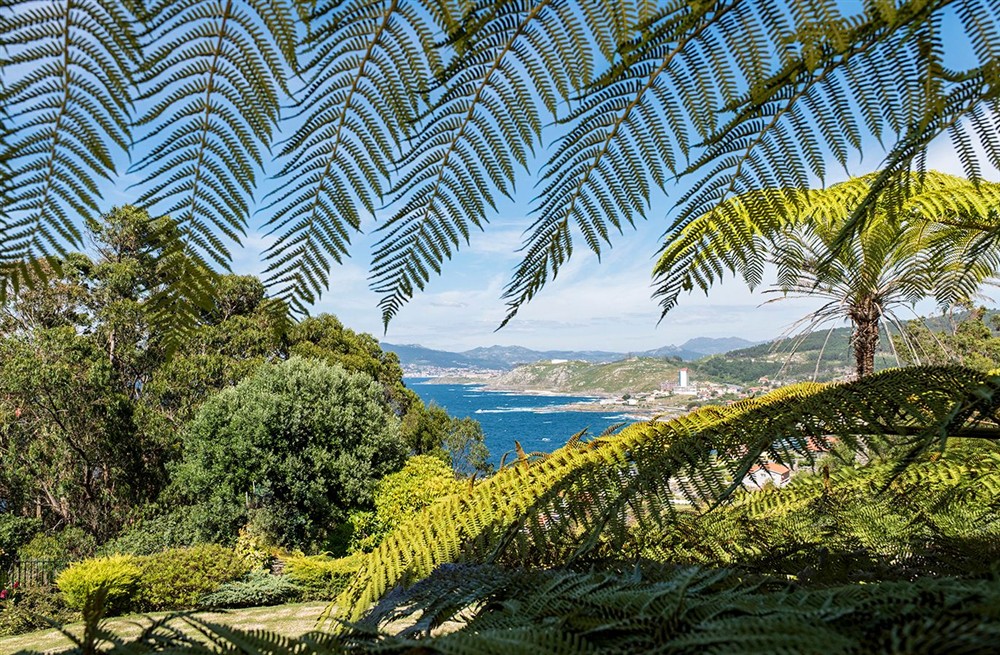 Vista Isla
